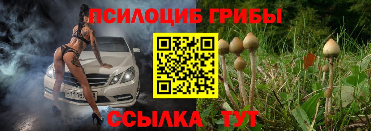 Псилоцибиновые грибы Psilocybine cubensis  Вход с VPN  Кудымкар  Галлюциногенные грибы прущие грибы 